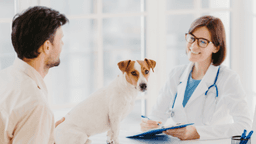 Veterinarian examining a dog's skin and coat for signs of skin problems